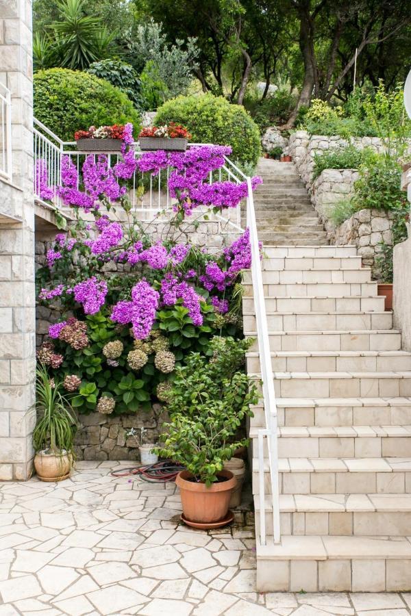 Apartments Maria Donje Celo Εξωτερικό φωτογραφία